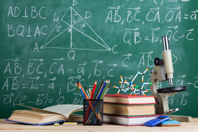 Five Mayo schools to receive more teachers and support
