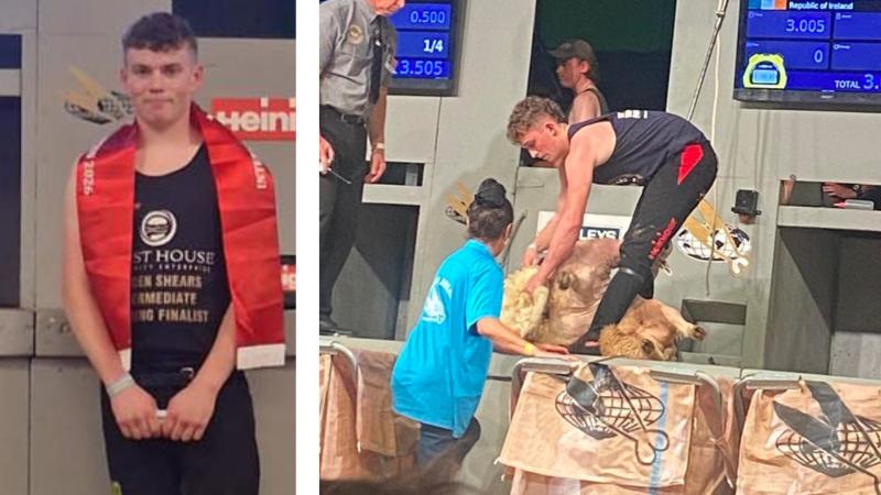 Bumper day for Mayo&rsquo;s Irish cutters at Olympics of Sheering&nbsp;