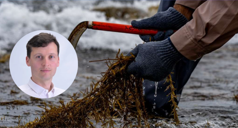 Paul Lawless seaweed meeting