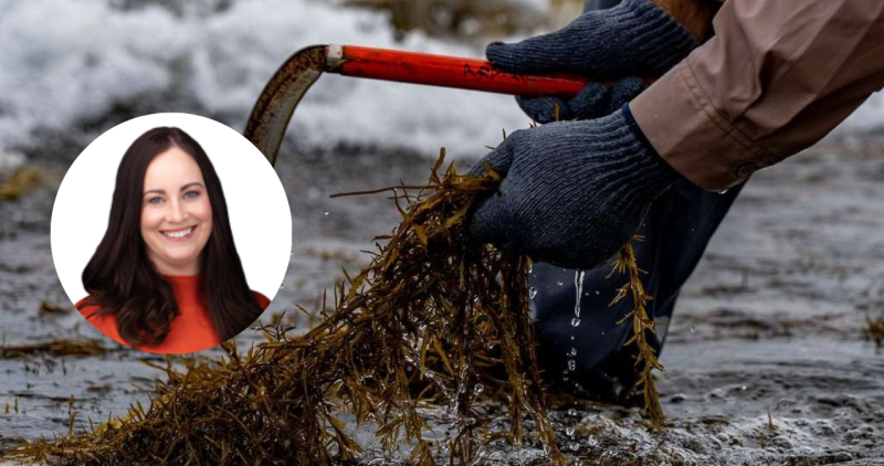 Keira Keogh seaweed