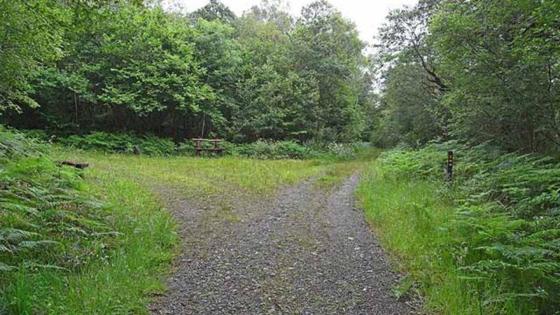 Community Future&rsquo;s project set to launch in west Mayo village 