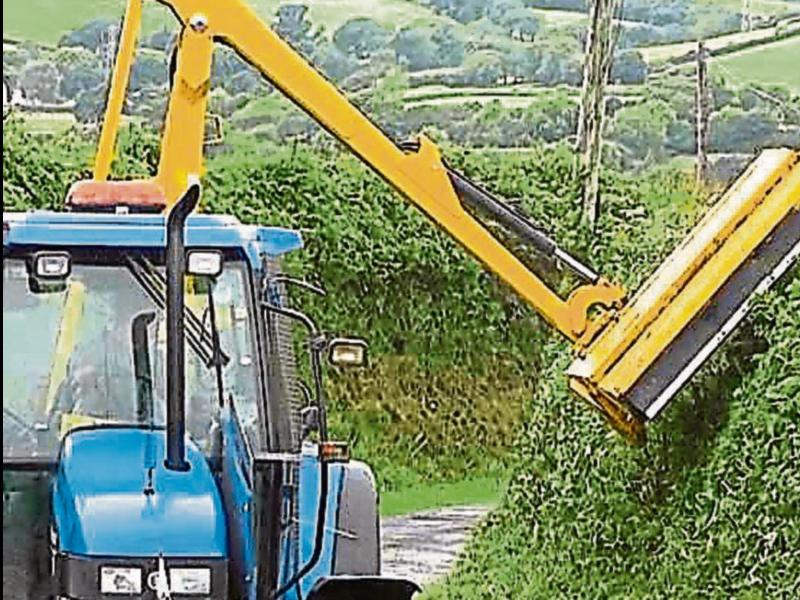 Landowners in Mayo reminded of obligations to maintain hedges and trees