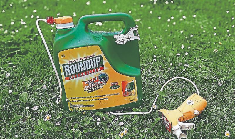 A West Mayo councillor has called on roadside weeds to be sprayed