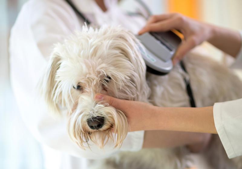 When a chip on the shoulder&rsquo;s a good thing