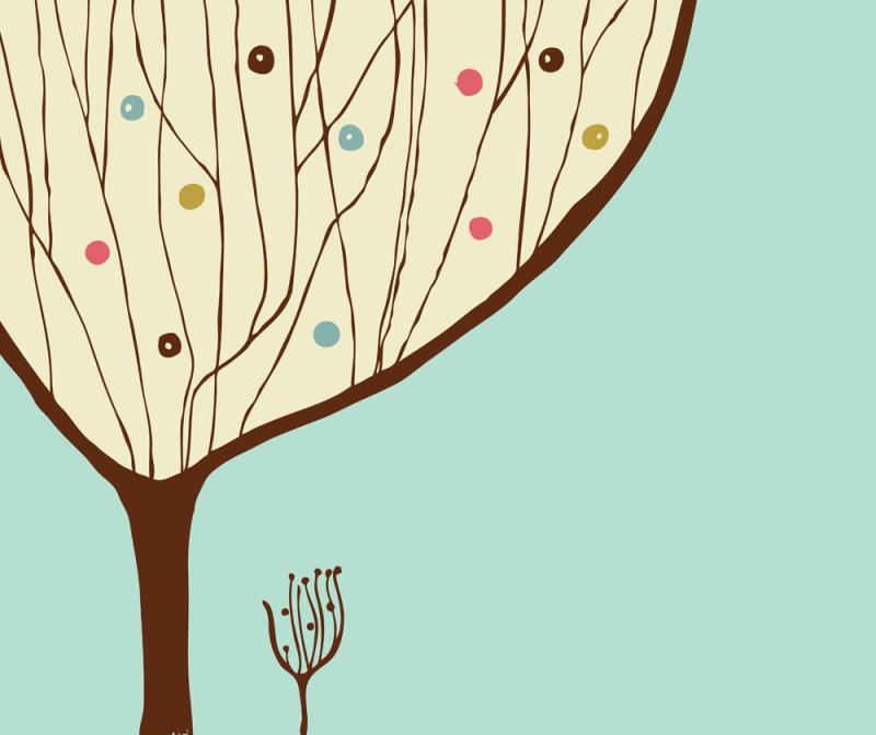 Shaping your tree for more fruit