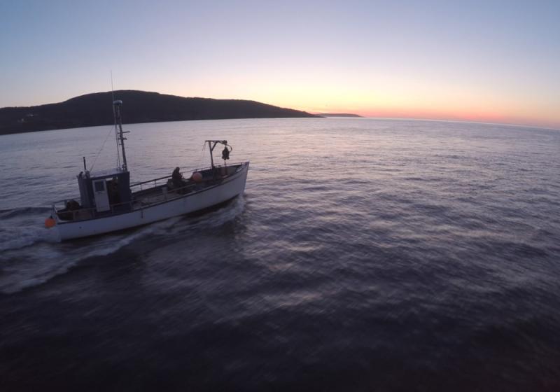 Mayo fishermen in court for breaching mackerel fishing regulations