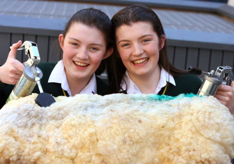 Crossmolina twins hit the mark with their invention