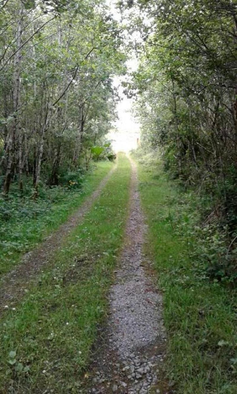 Severed heads, spooky forests and spectacular silhouettes