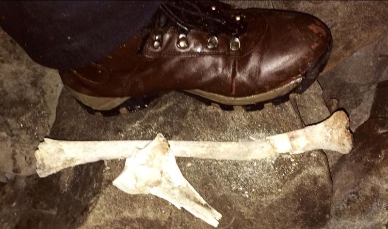 Bones found in newly discovered Nephin cave to be examined