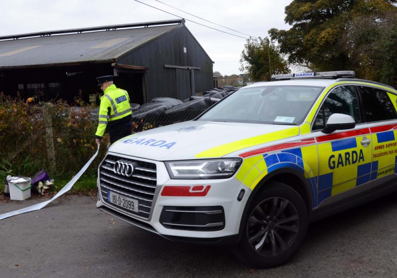 Alarm was raised by Irishtown victim&rsquo;s girlfriend