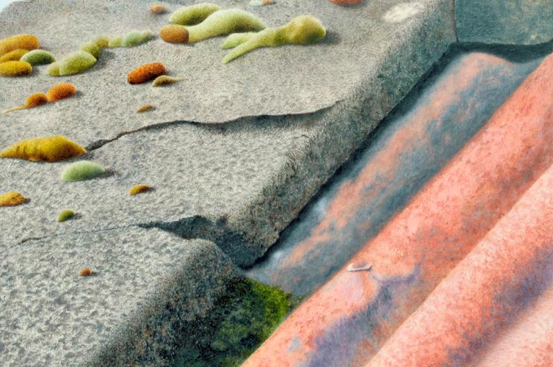 CULTURE Raising the roof