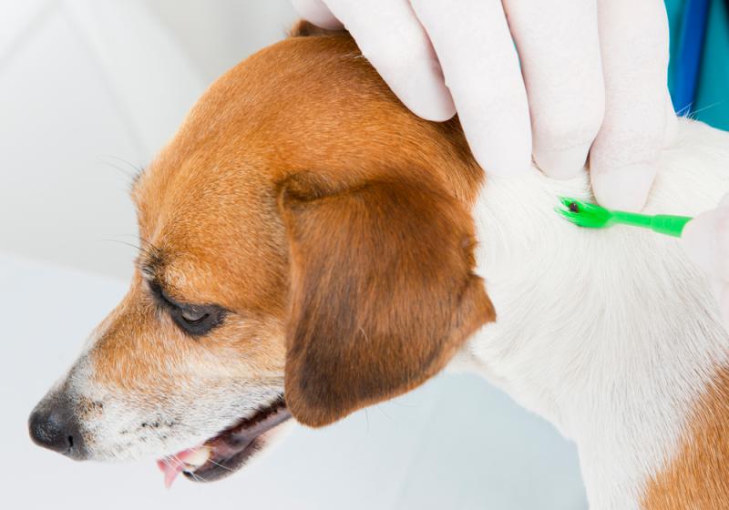 Very creepy crawlies