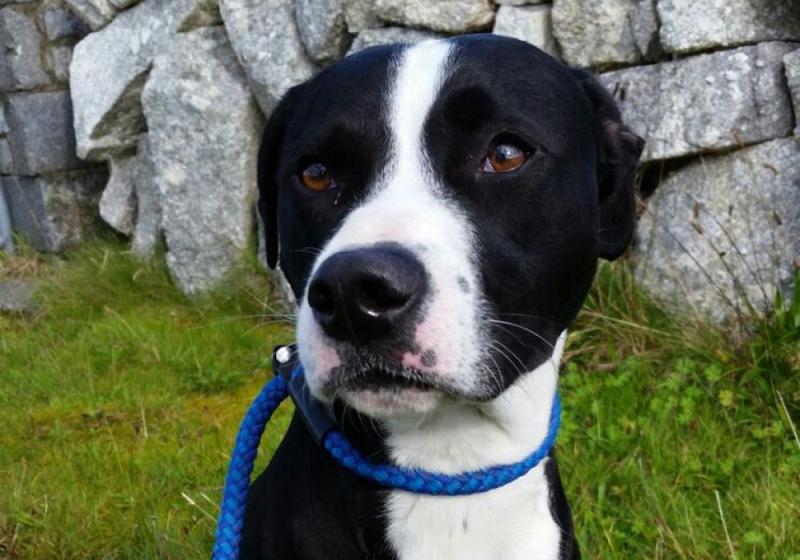 Meet April&rsquo;s of the Month: Keesha