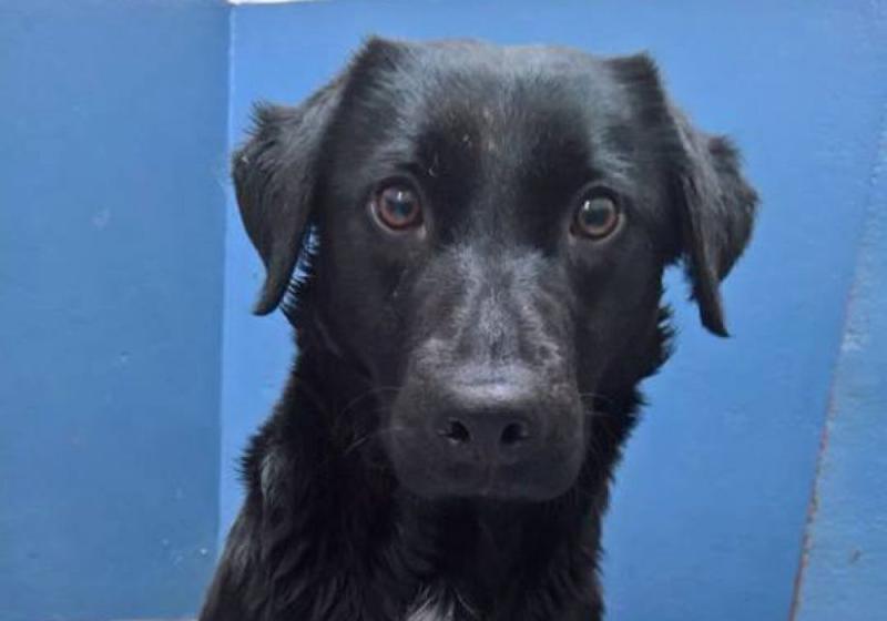 Meet June’s of the Month: Twinkle