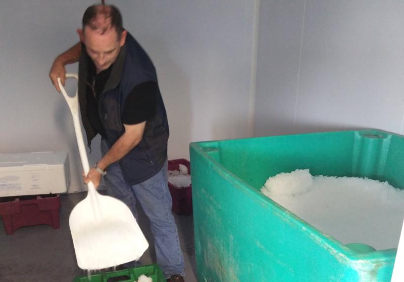 The beginning of the Purteen ice age 