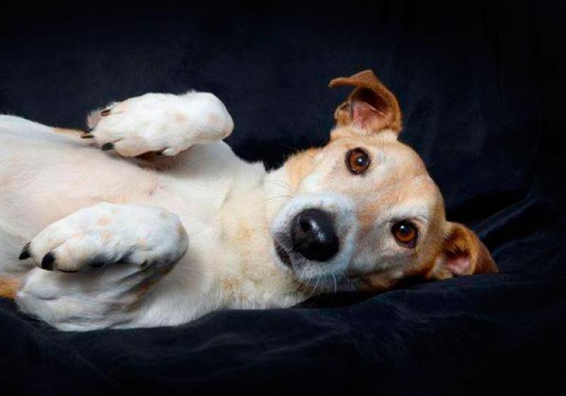 Meet September’s of the Month: Picky