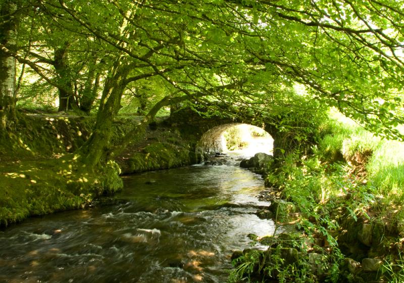 Can you step in the same stream twice?