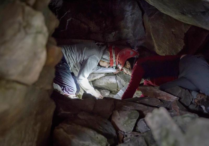 Human remains discovered on Nephin range were more than 5,000 years old