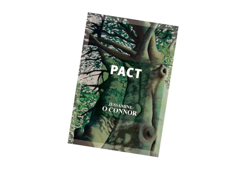 Ballaghaderreen poet releases new work