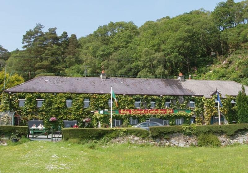 Demolition of Healy’s Hotel appealed