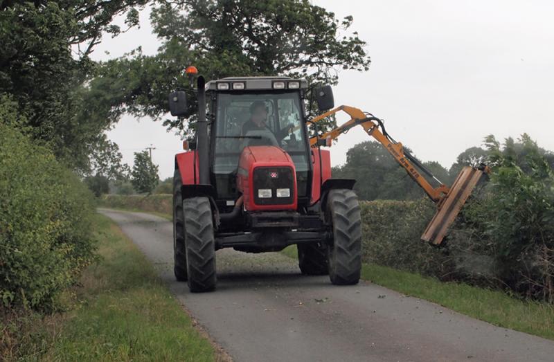 ‘Bird-brains’ blamed for seasonal hedge-cutting saga