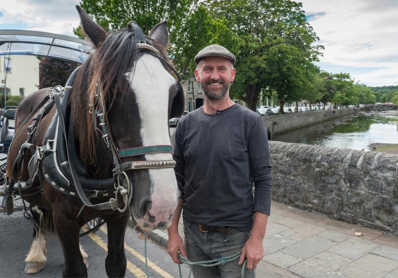 A Day in the Life: The Westport Jarvey, Kevin O'Reilly