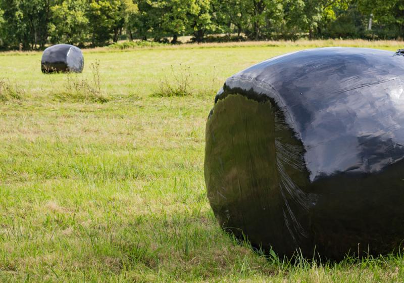 Ballyglass farmer died instantly after trailer fall