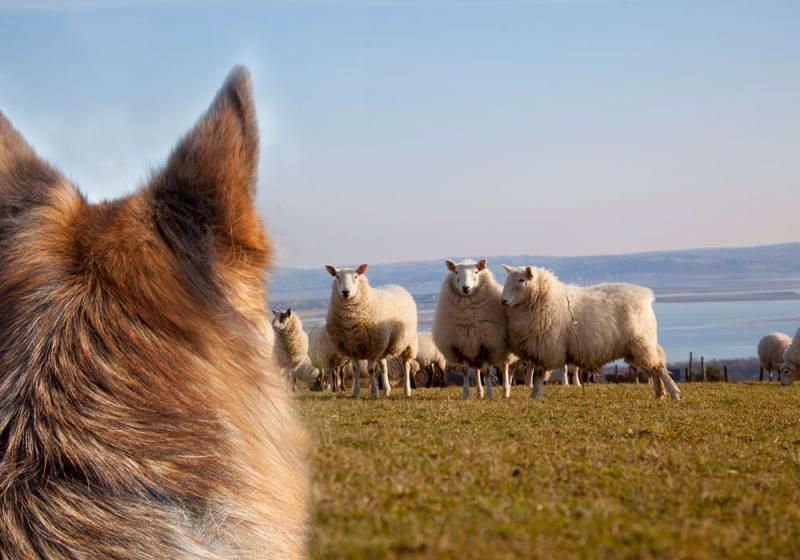 A worrying time of year