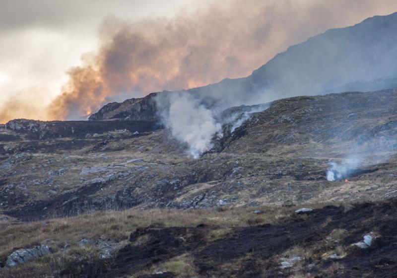 Councillors have called for signage to alert visitors of the dangers of gorse fires