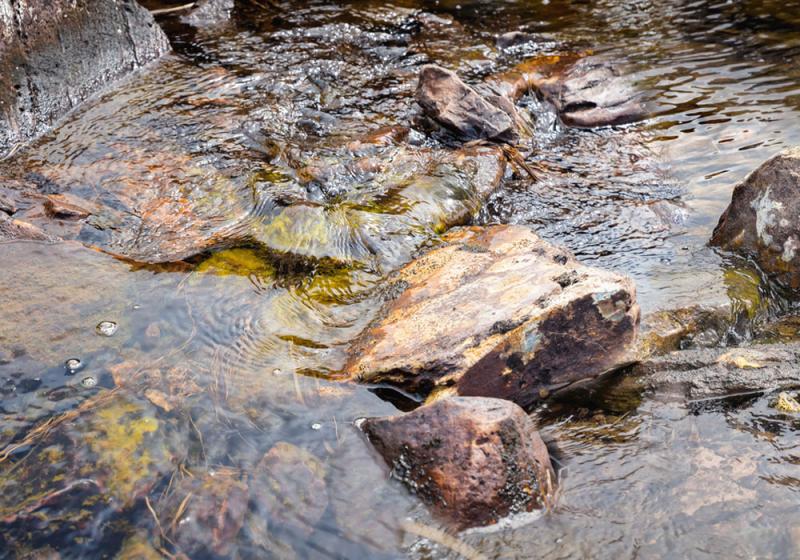Farmers deny they are to blame for pesticides in water supply