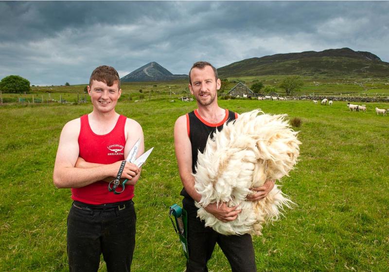 Westport men to represent Ireland at world shearing championships