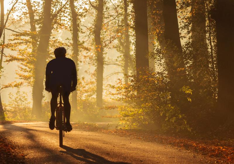Depression, mental health and activity