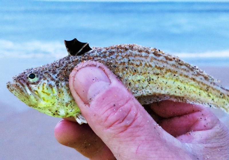 Lovely little monsters