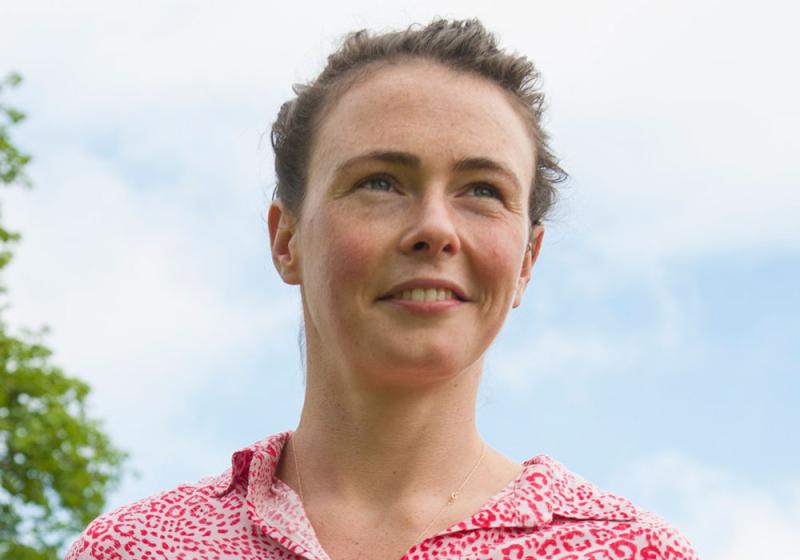 McHugh denies Green Party rift
