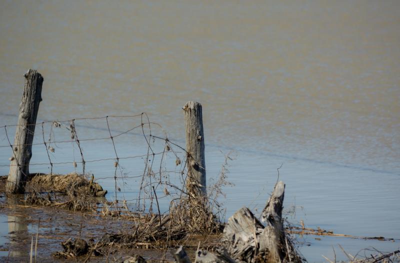Call for drainage scheme as The Neale remains flooded