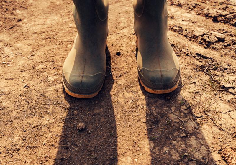 Travel the road with our small farmers