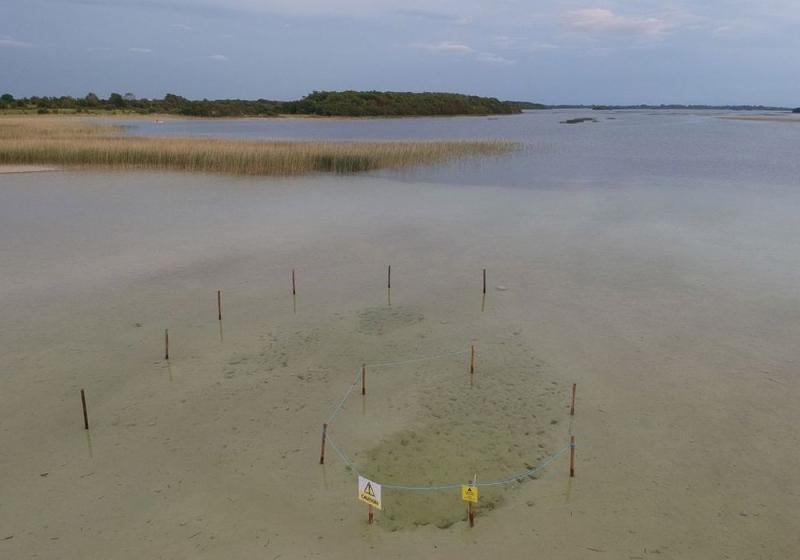 Sinkhole’s sucking sands a real risk to bathers