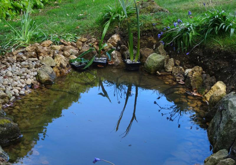 Create a life-giving garden oases