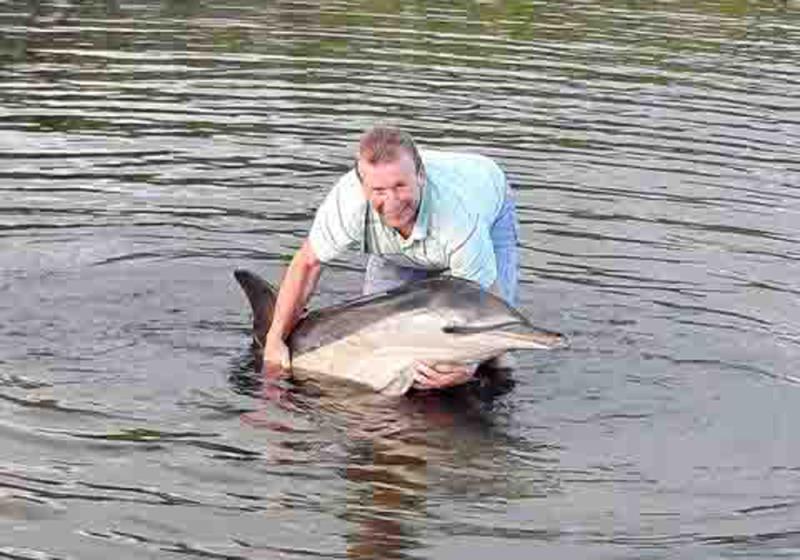 ‘Ditzy the Dolphin’ stranded a second time