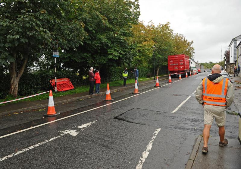 Standoff over cutting down trees on historic street