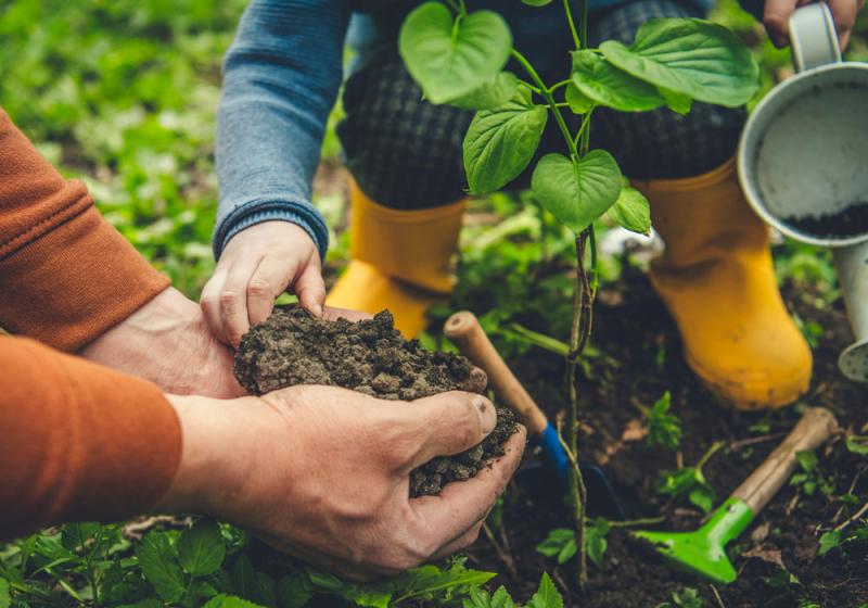 How 2020 has coloured our 2021 intentions