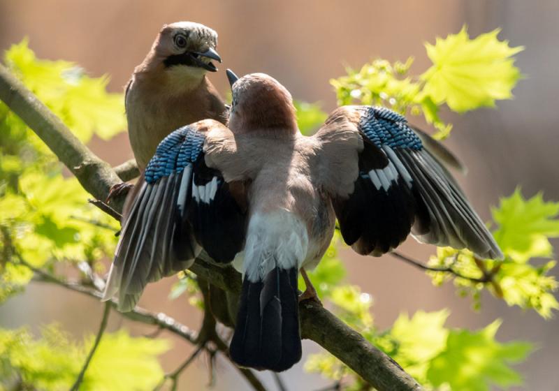 Love is in the air