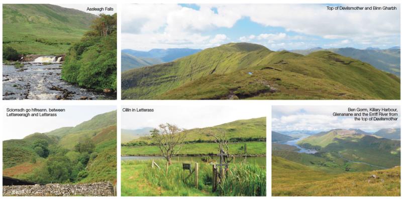 Hags, testicles, and a slide to hell