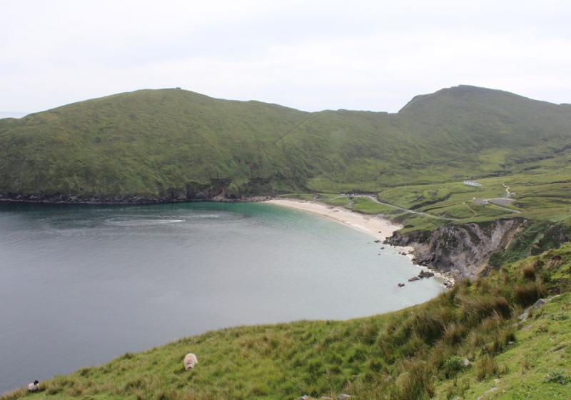 Iconic Keem Bay ranked 'moderately littered' in survey 