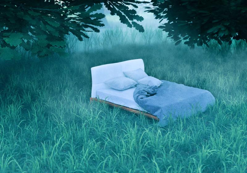 Dream life and real life