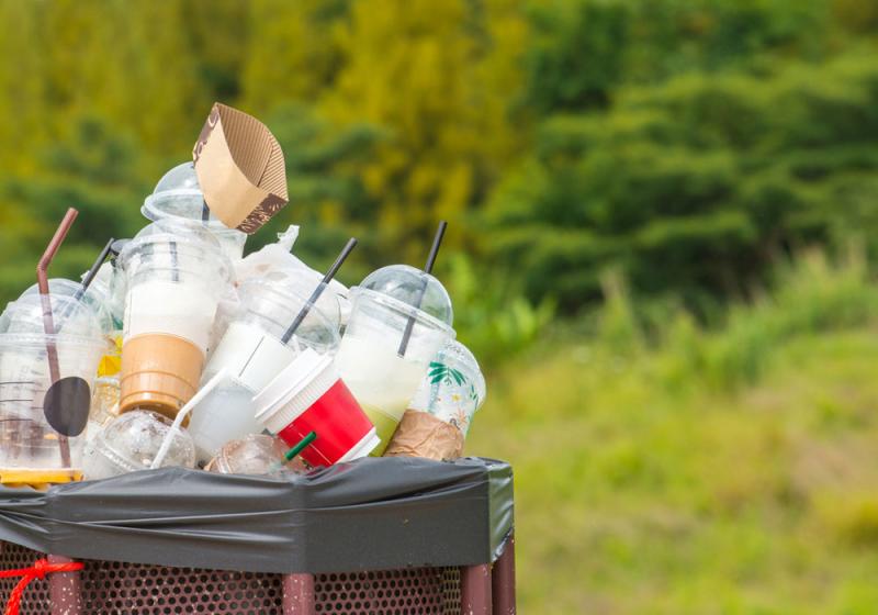 Councillors call for seven-day-a-week bin service