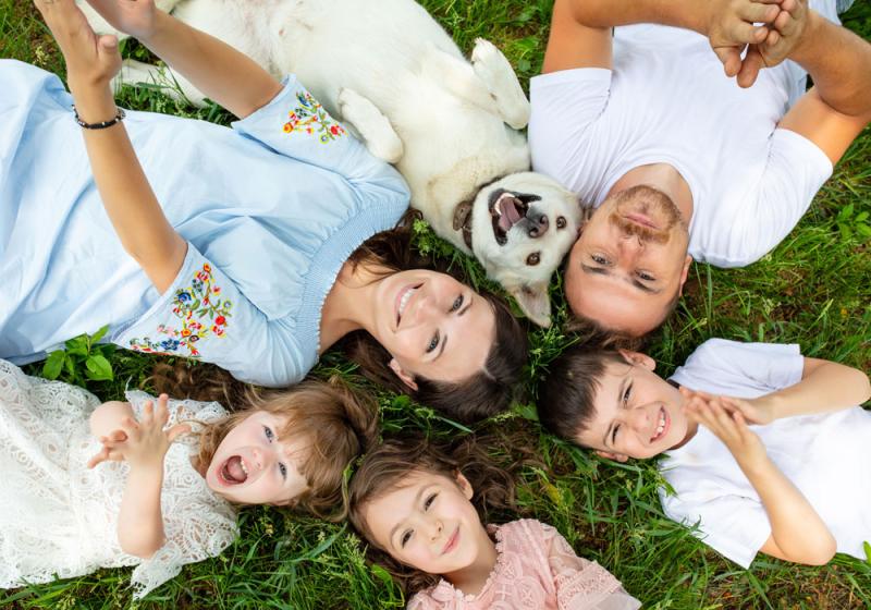 Four-legged physical and mental therapy