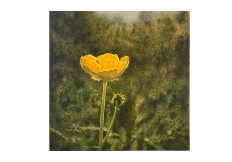 Last chance to catch Seeing Earth