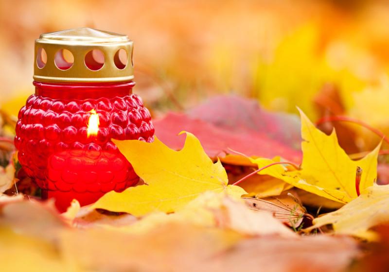 November, a month to remember