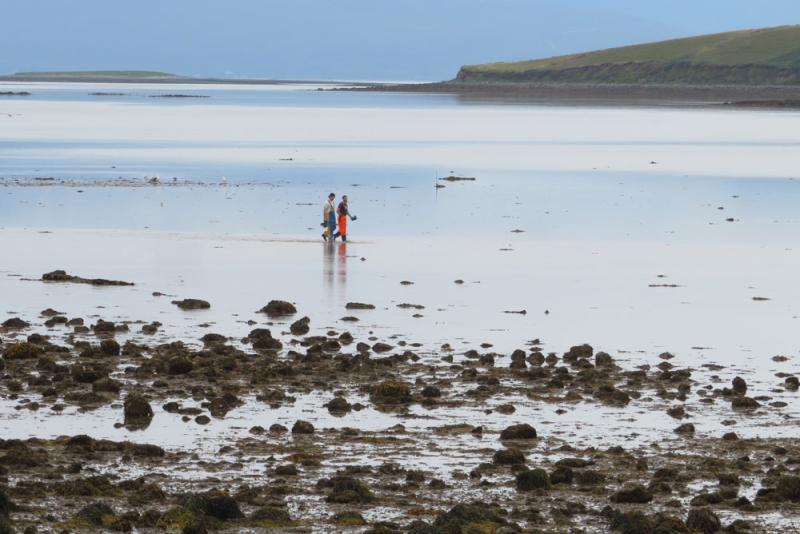 Annagh way, shape or form 